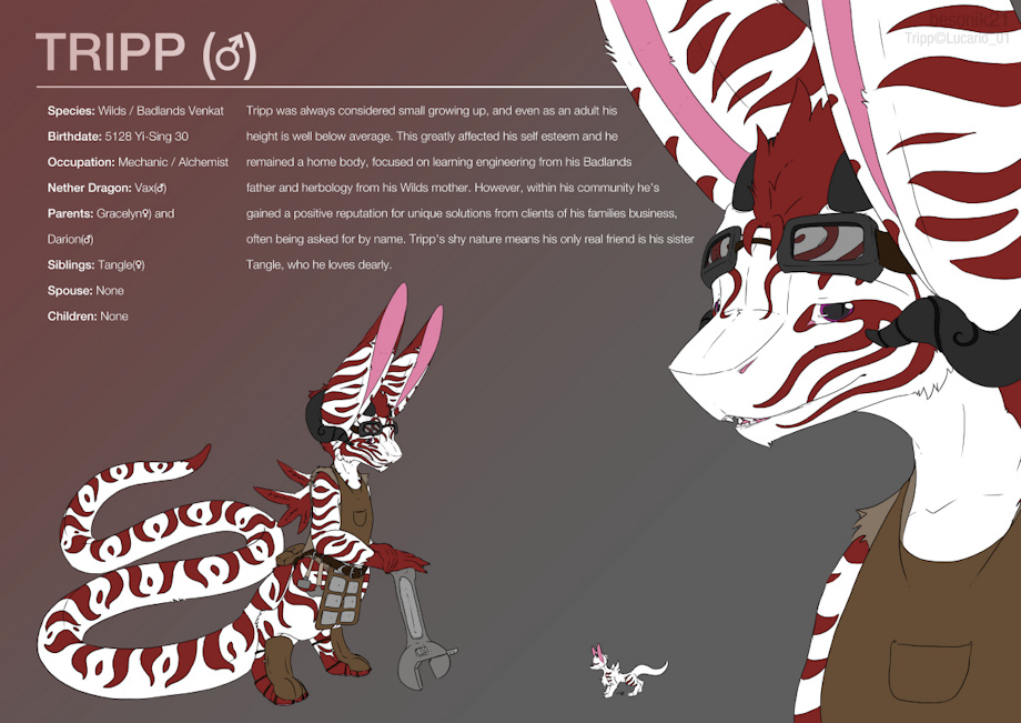 Commission - Tripp Character Sheet by besonik